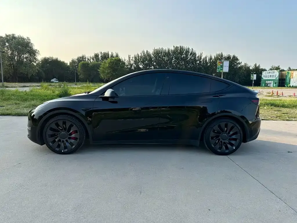 Tesla Model Y — фото 3