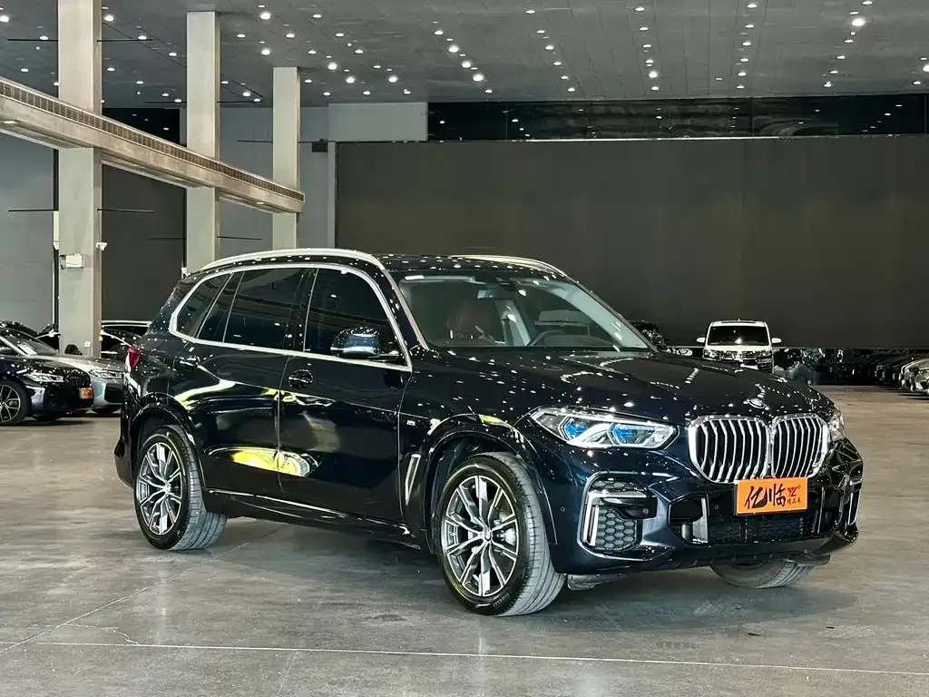 BMW X5 — фото 6