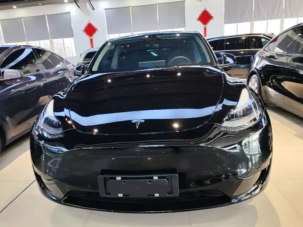 Tesla Model Y — фото 8