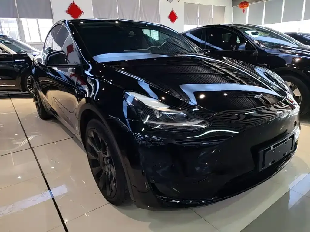 Tesla Model Y — фото 6