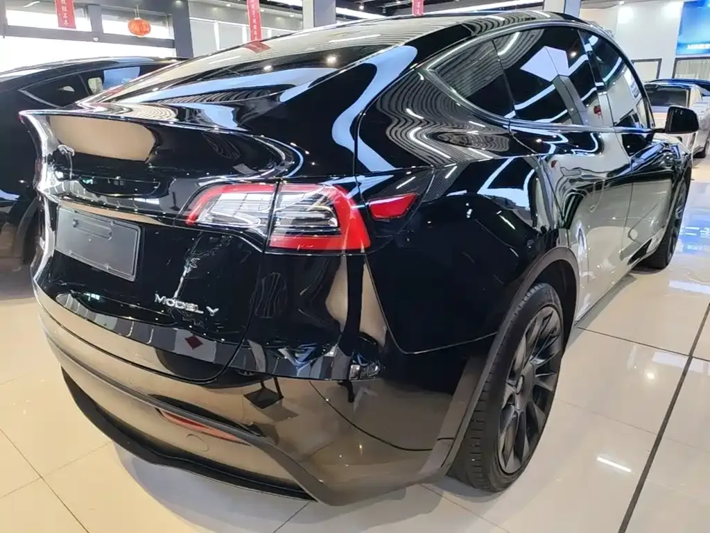 Tesla Model Y — фото 2