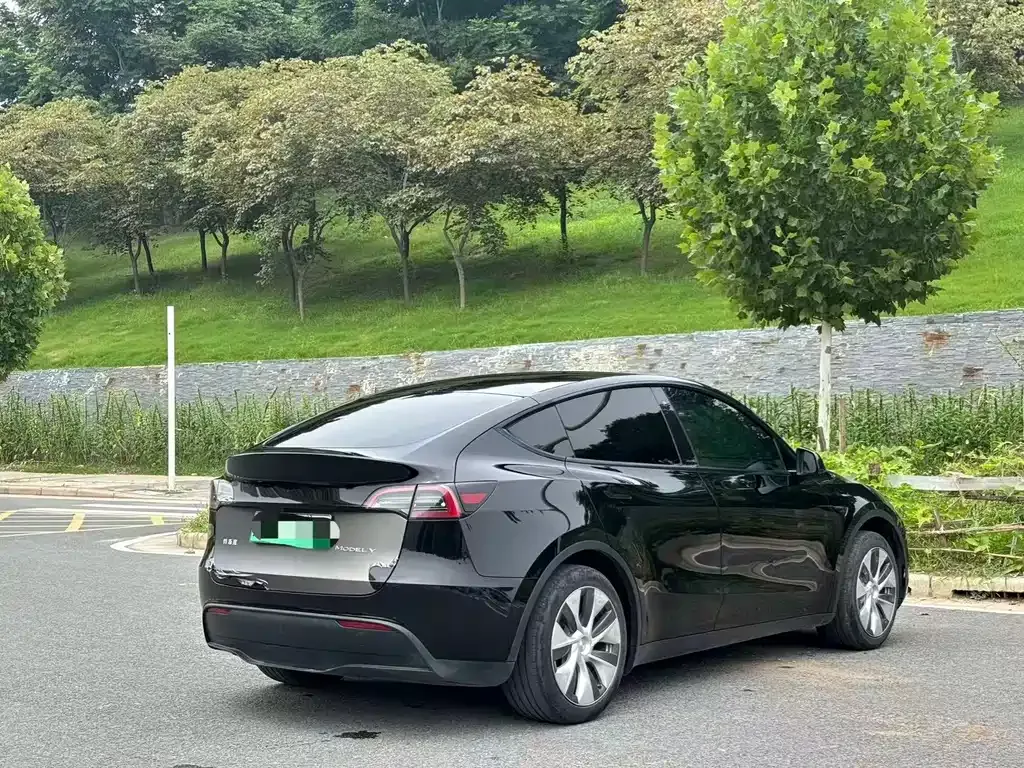 Tesla Model Y — фото 10