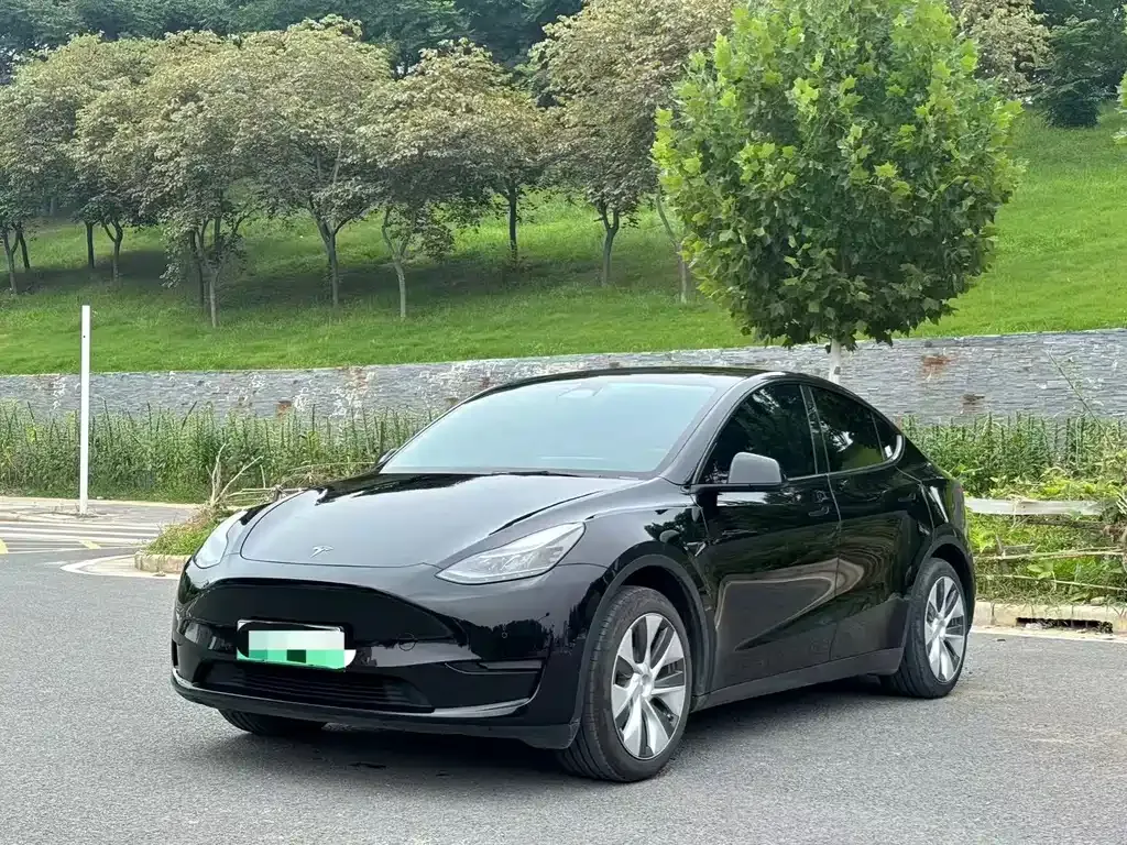 Tesla Model Y — фото 8