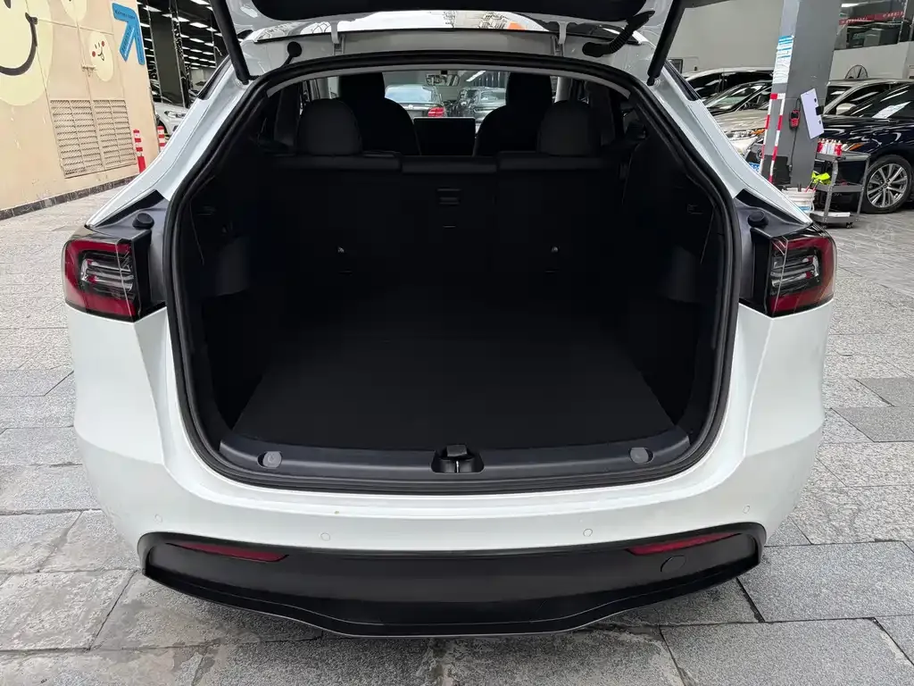 Tesla Model Y — фото 10