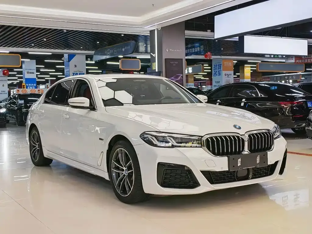 BMW 5 Series New Energy — фото 7