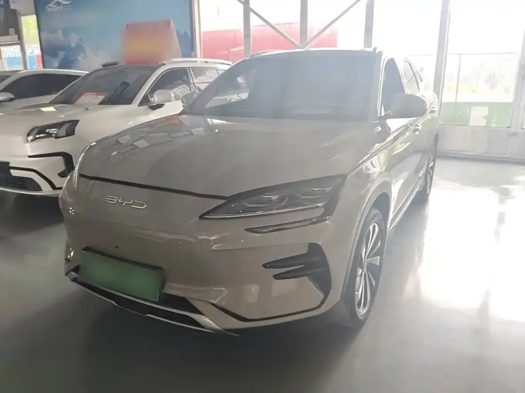 BYD PLUS New Energy — фото 2