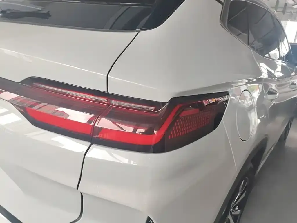 BYD PLUS New Energy — фото 8