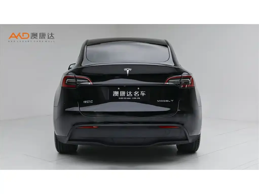 Tesla Model Y — фото 6
