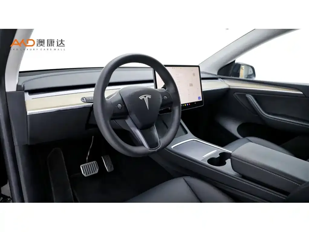 Tesla Model Y — фото 10