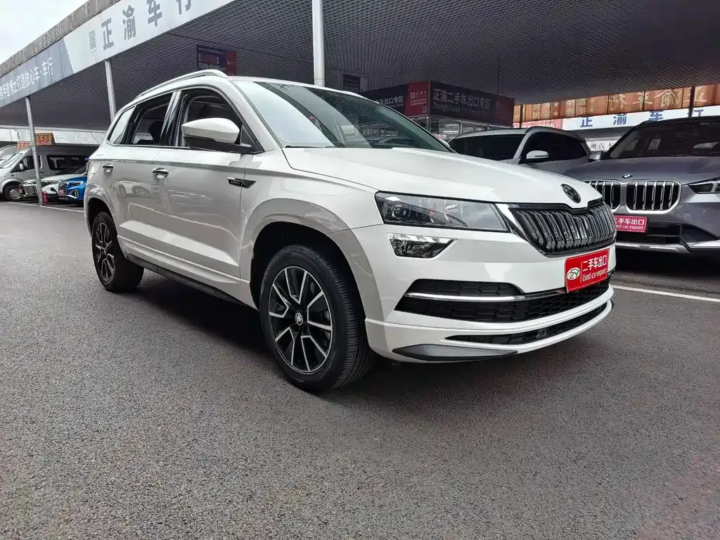 Skoda Karoq — фото 6