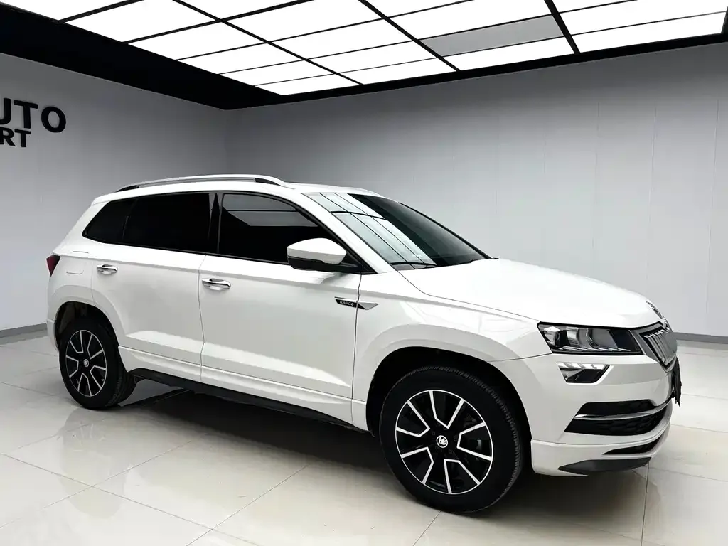 Skoda Karoq — фото 3