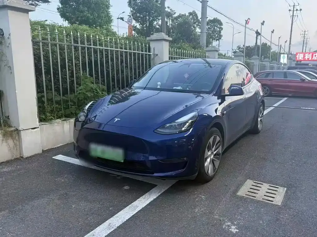 Tesla Model Y — фото 1
