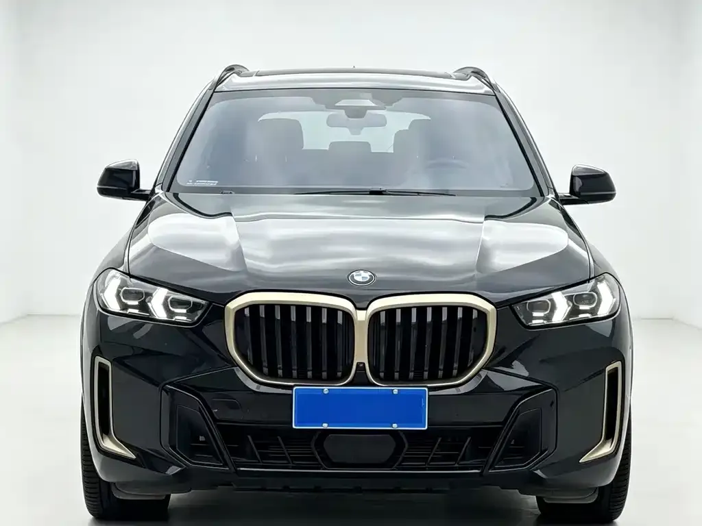 BMW X5 — фото 9