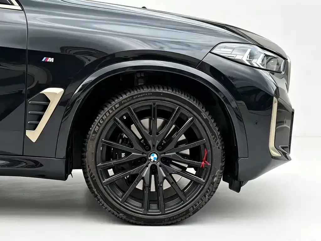 BMW X5 — фото 10