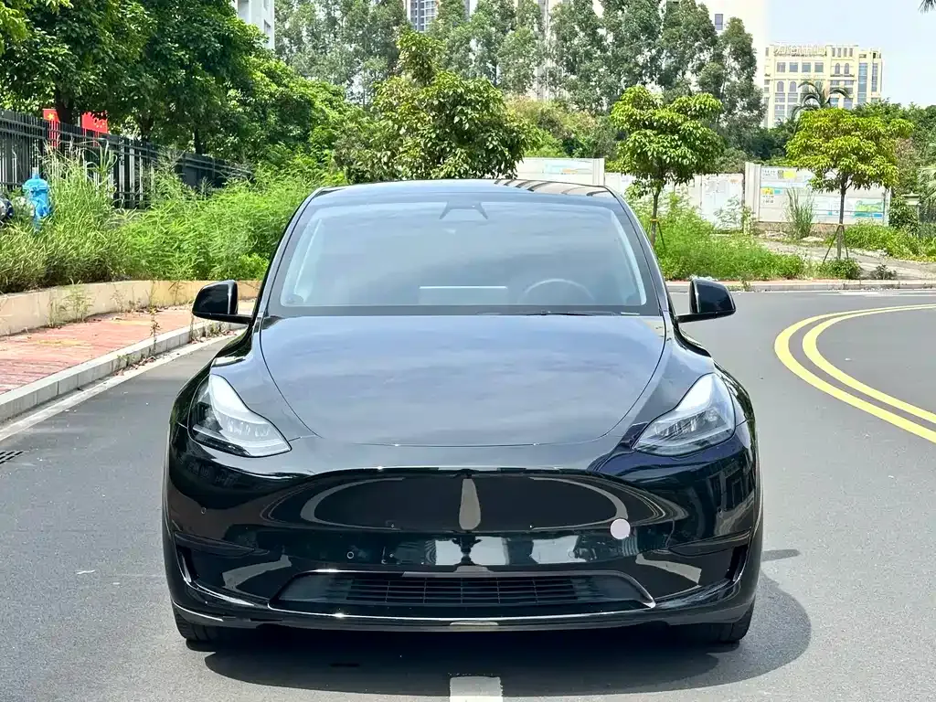 Tesla Model Y — фото 5