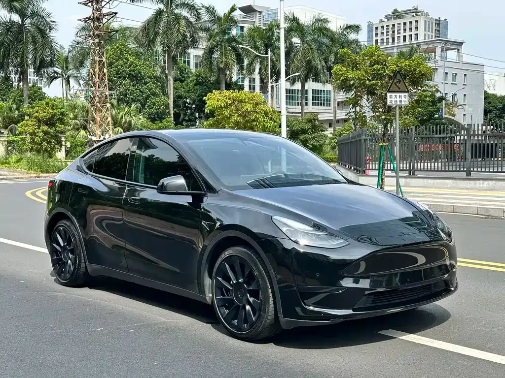 Tesla Model Y — фото 10