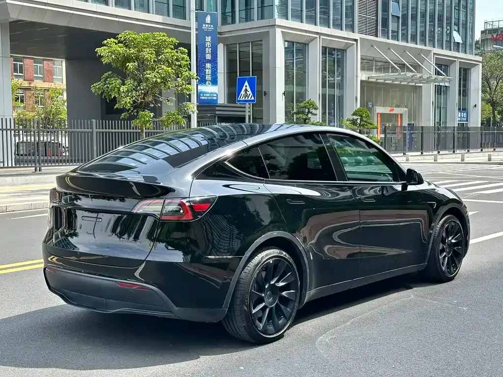Tesla Model Y — фото 6