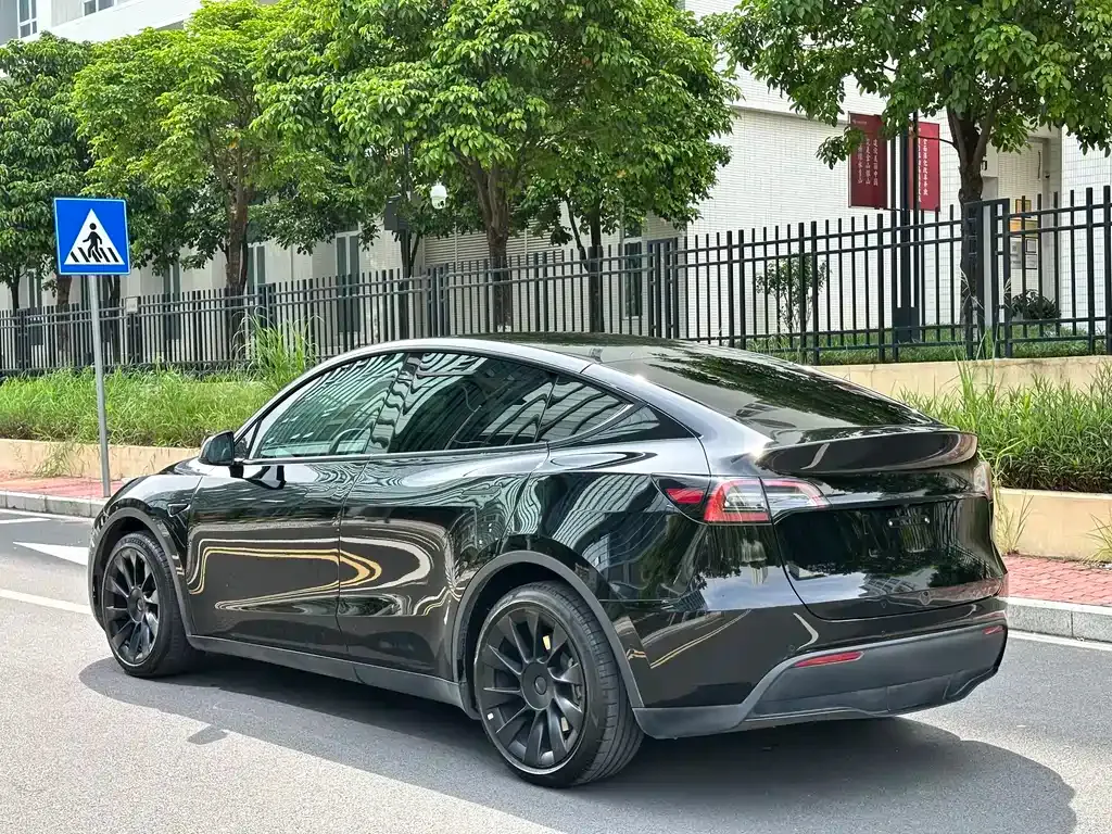 Tesla Model Y — фото 9