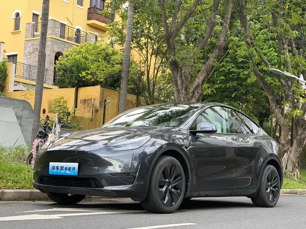 Tesla Model Y — фото 1