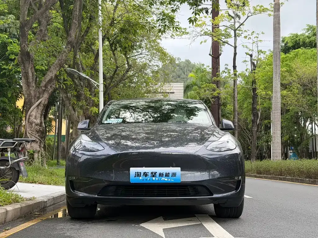Tesla Model Y — фото 10