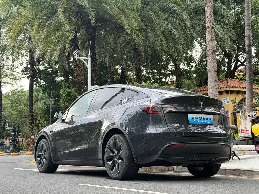 Tesla Model Y — фото 9