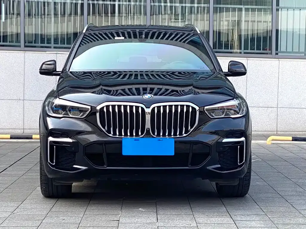 BMW X5 — фото 10
