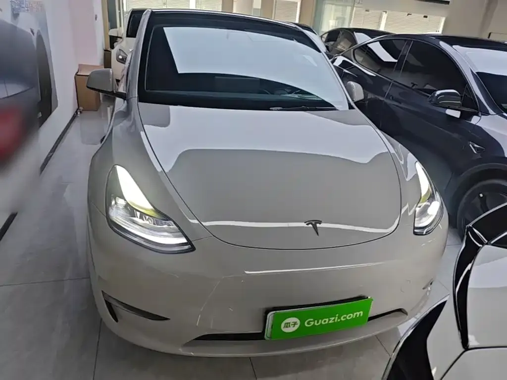 Tesla Model Y — фото 2