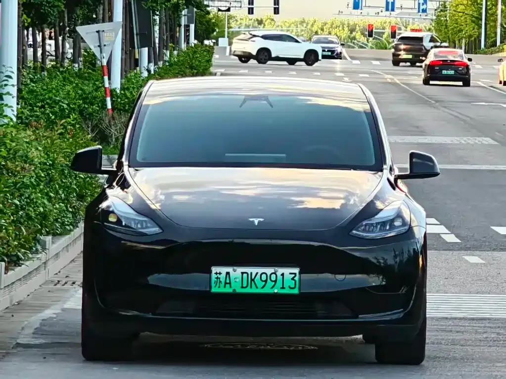 Tesla Model Y — фото 6