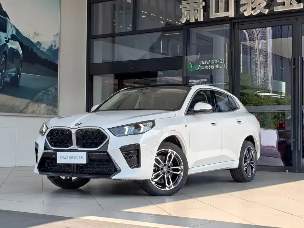 BMW X2 (Import) — фото 1