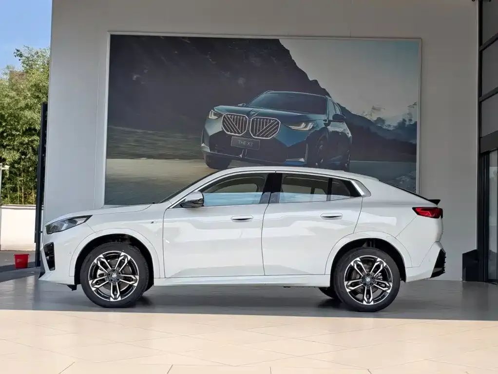 BMW X2 (Import) — фото 6