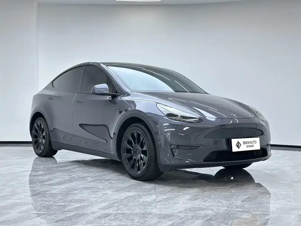 Tesla Model Y — фото 8