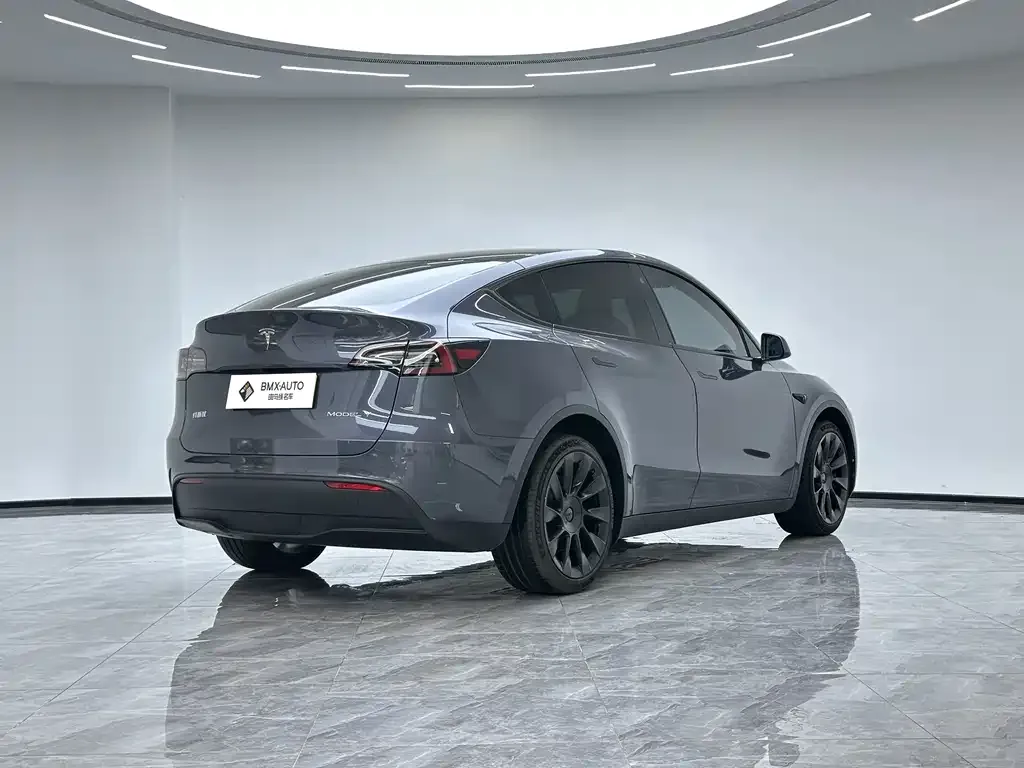 Tesla Model Y — фото 6