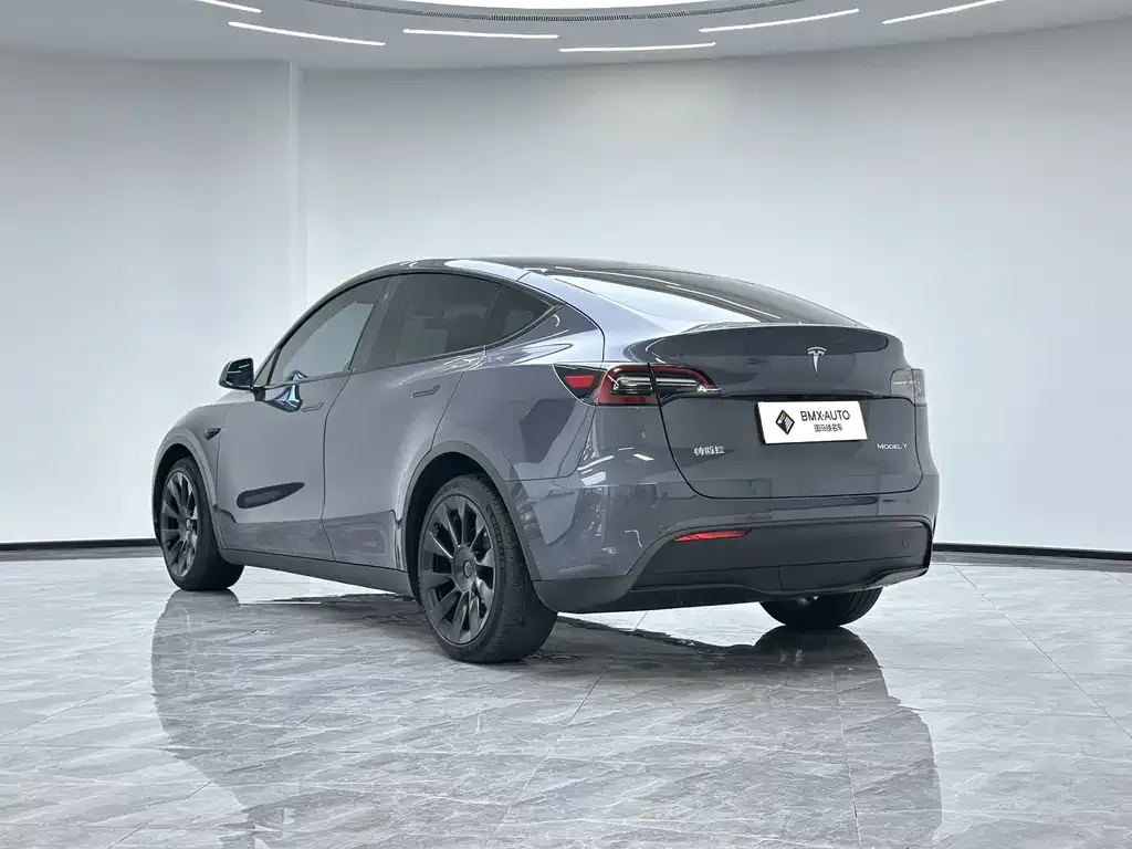 Tesla Model Y — фото 10