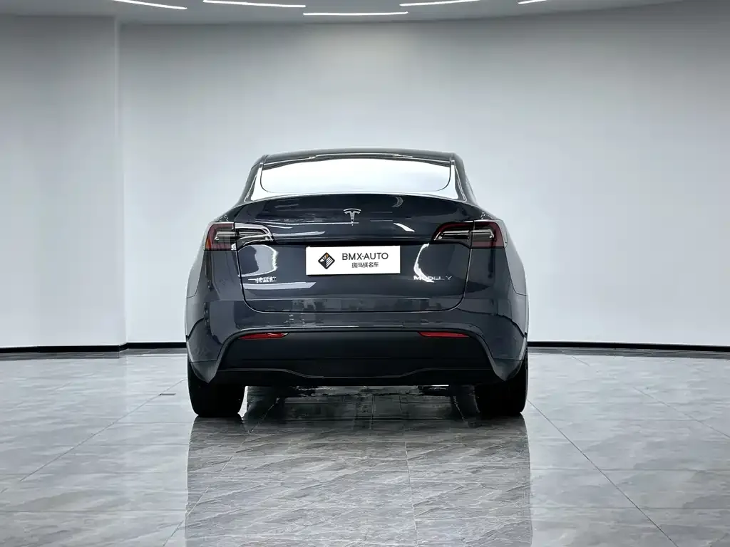 Tesla Model Y — фото 7