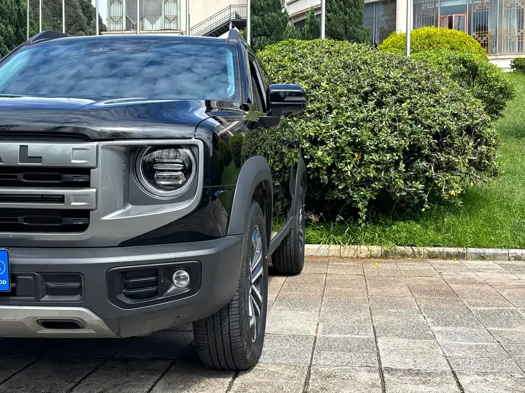 Haval Big Dog — фото 9