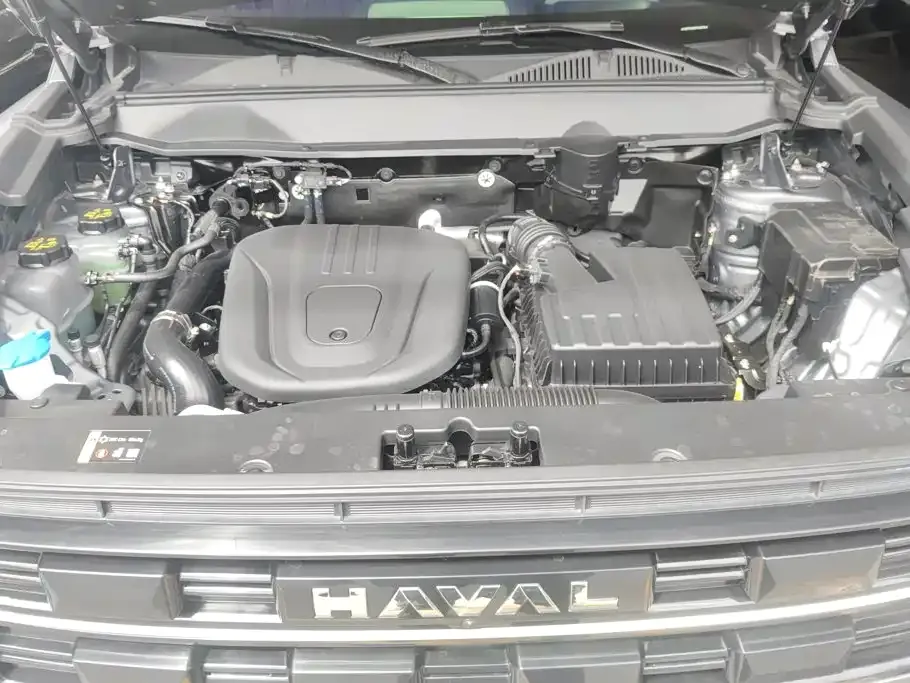 Haval 长城猛龙 PLUS — фото 9