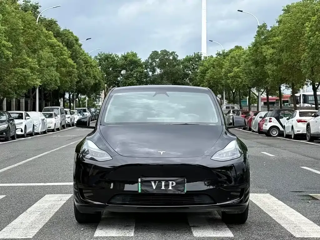 Tesla Model Y — фото 7