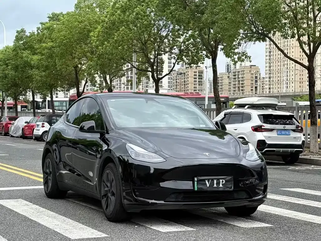 Tesla Model Y — фото 8