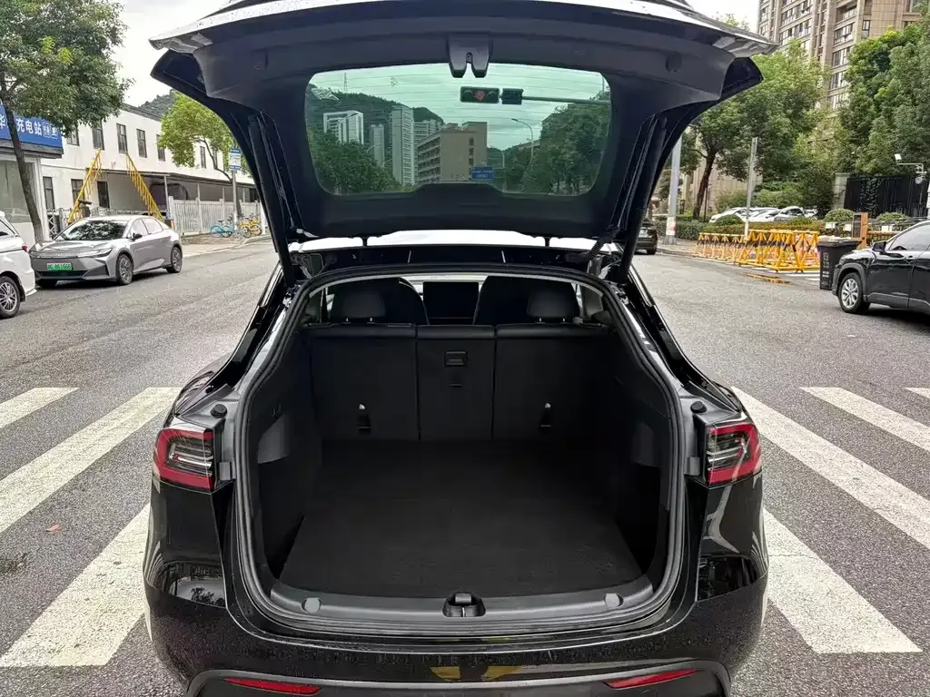 Tesla Model Y — фото 10