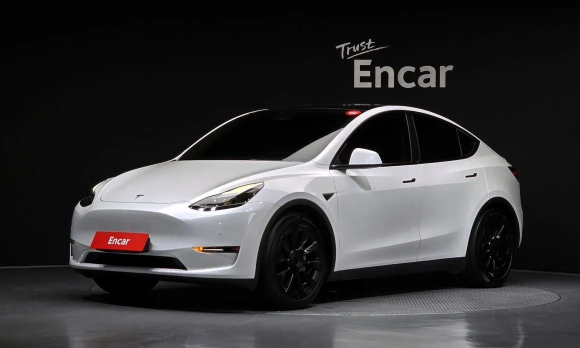Tesla Model Y — фото 1