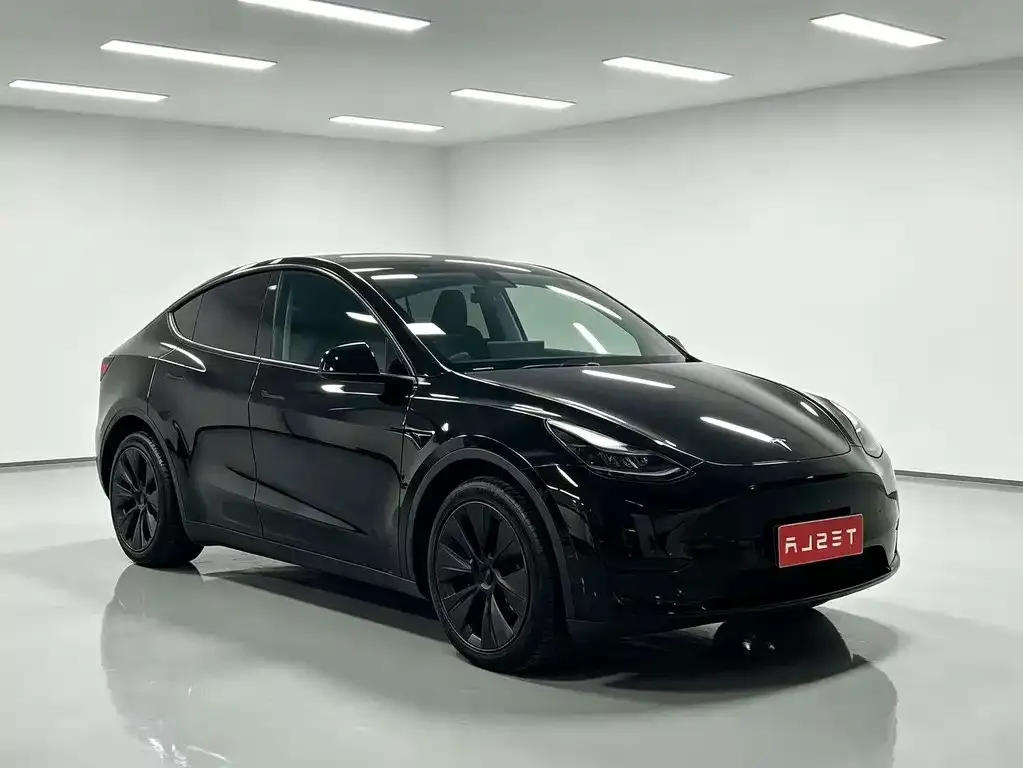 Tesla Model Y — фото 8