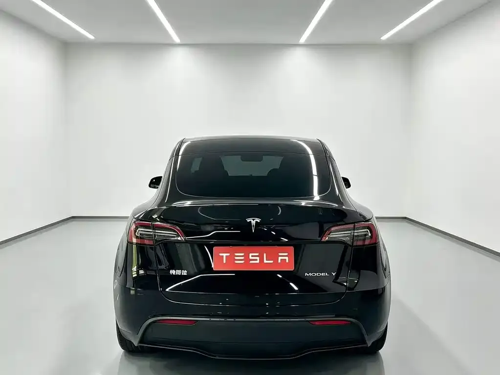 Tesla Model Y — фото 2