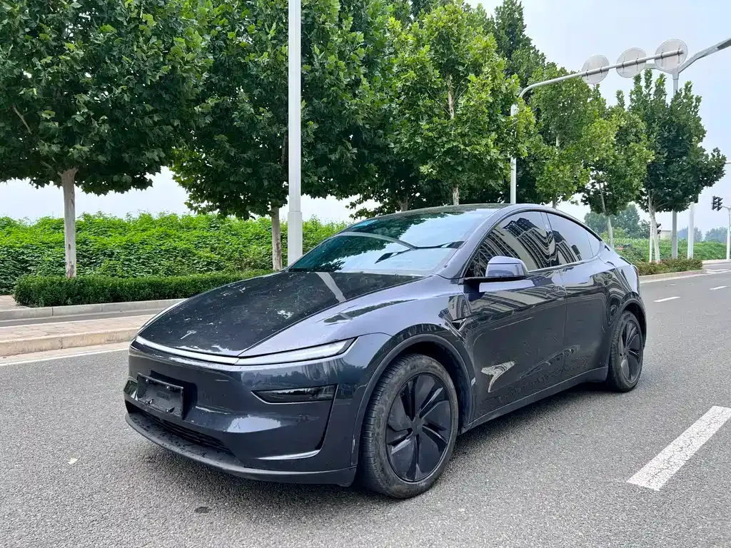 Tesla Model Y — фото 1