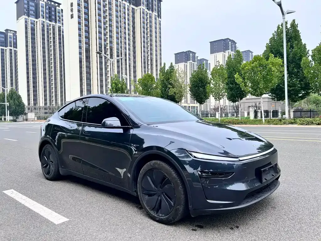 Tesla Model Y — фото 10
