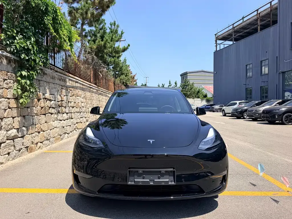 Tesla Model Y — фото 6