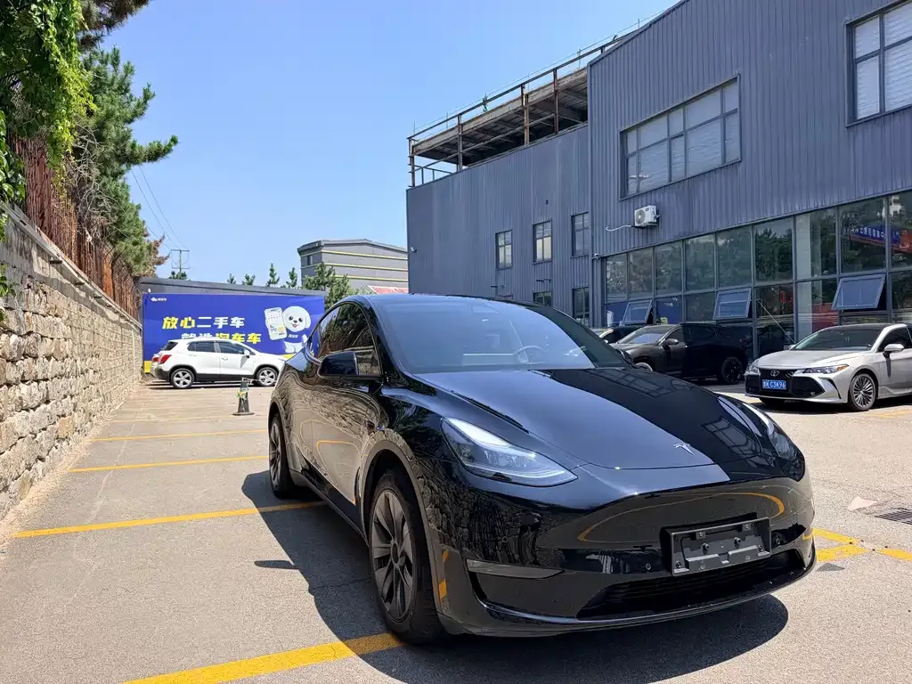 Tesla Model Y — фото 8