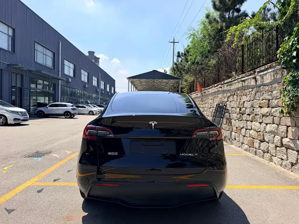 Tesla Model Y — фото 9