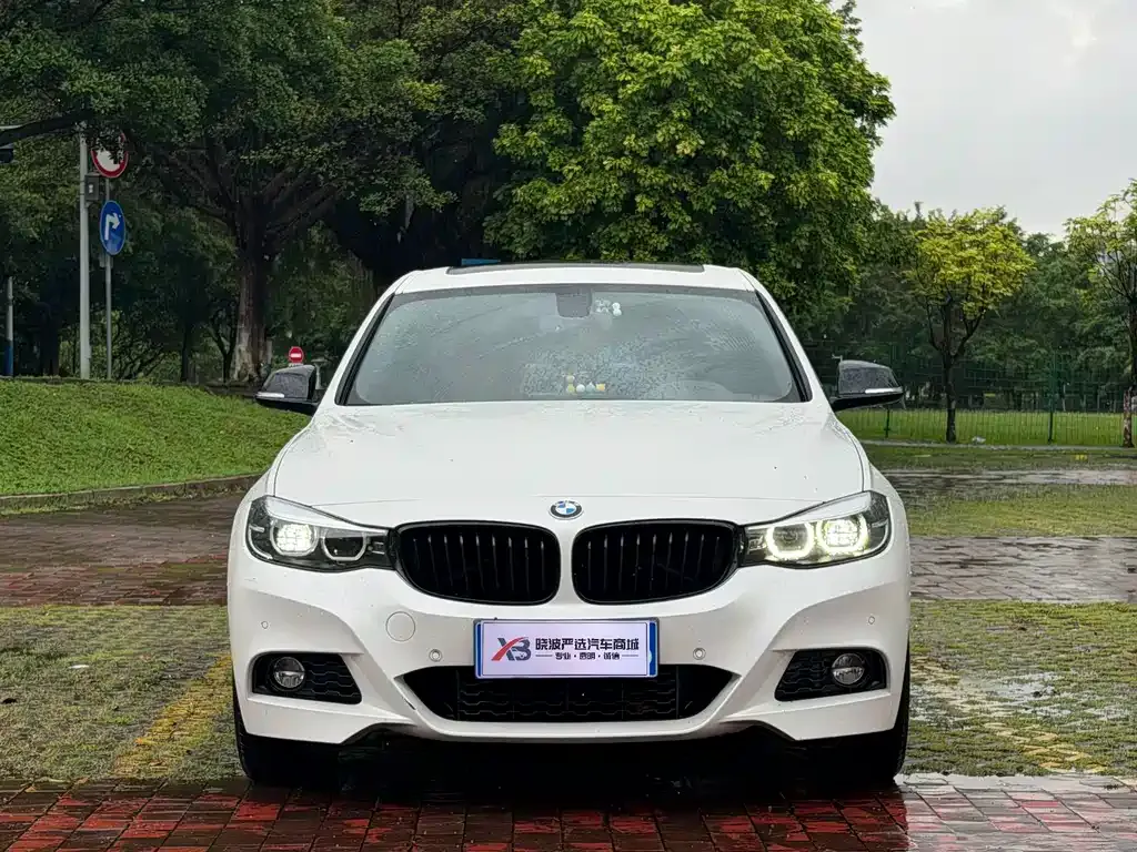 BMW 3 Series GT — фото 9