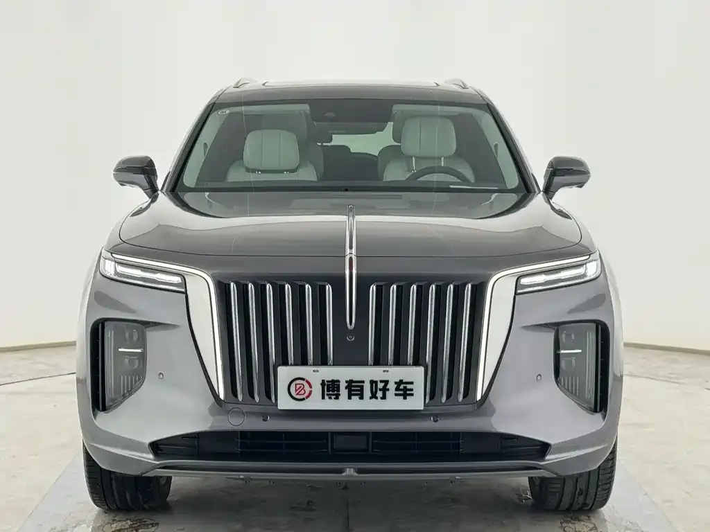 Hongqi E-HS9 — фото 10