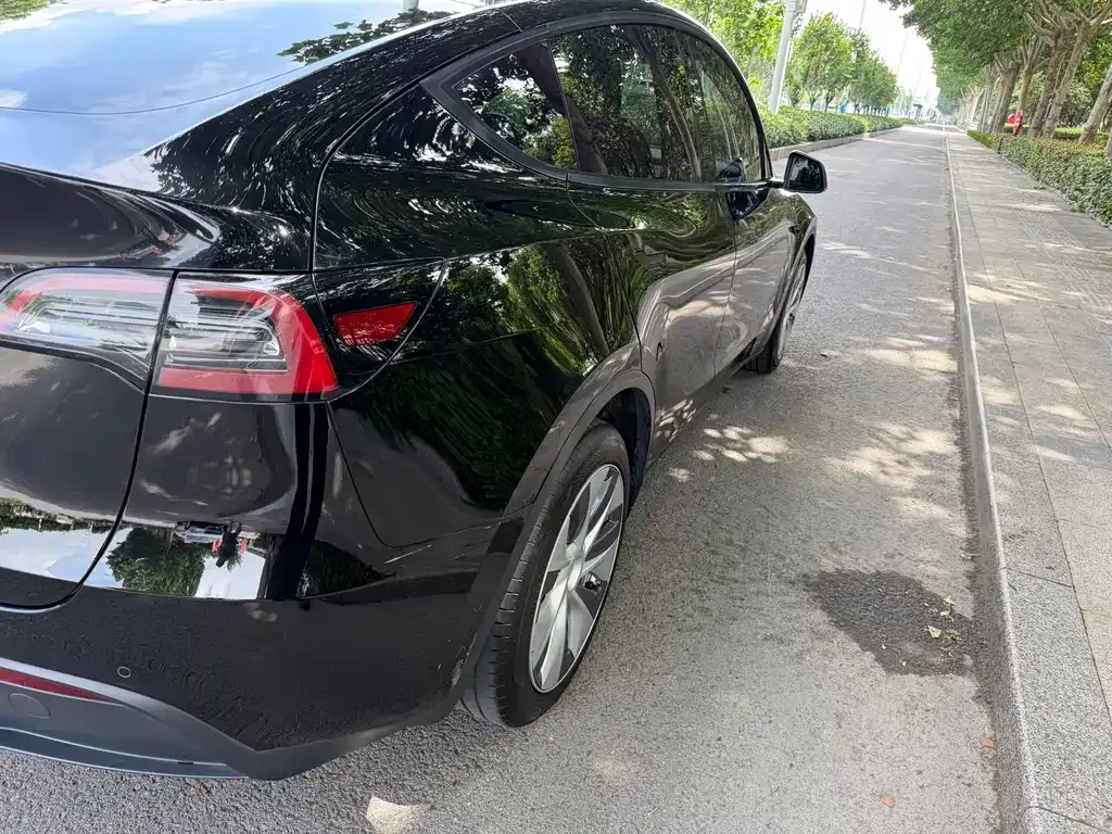 Tesla Model Y — фото 10
